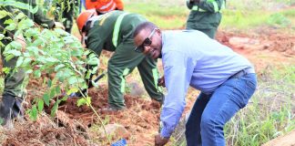 Kansanshi Mining Plc Environmental Manager Arnold Malambo